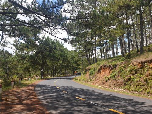 hẹn hò - Forestry -Gay -Tuổi:38 - Độc thân-TP Hồ Chí Minh-Người yêu lâu dài