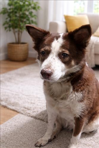 hẹn hò - DT-Gay -Age:38 - Has Lover-TP Hồ Chí Minh-Friend - Best dating website, dating with vietnamese person, finding girlfriend, boyfriend.