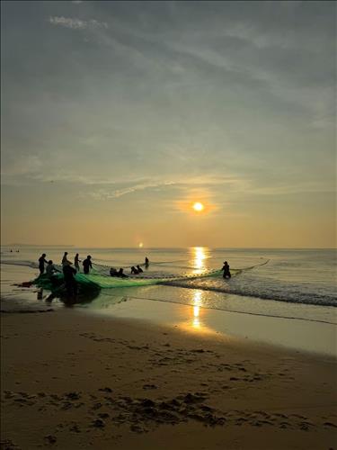 Summerwind