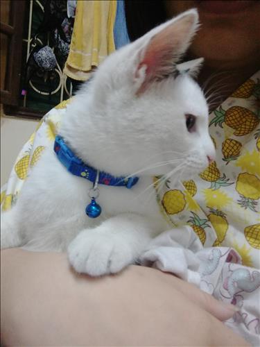 hẹn hò - A-Lesbian -Age:24 - Single-Hà Nội-Lover - Best dating website, dating with vietnamese person, finding girlfriend, boyfriend.
