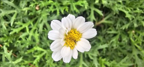 hẹn hò - Di-Lesbian -Age:31 - Single-Cần Thơ-Lover - Best dating website, dating with vietnamese person, finding girlfriend, boyfriend.