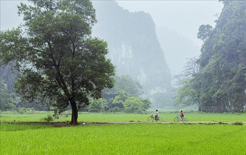 hẹn hò - T-Les -Tuổi:29 - Độc thân-Bắc Ninh-Tìm bạn tâm sự