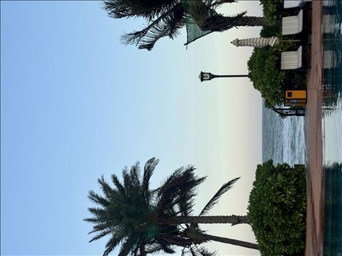 hẹn hò - Mai-Les -Tuổi:31 - Độc thân--Tìm bạn tâm sự