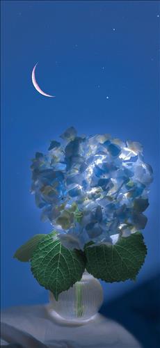 hẹn hò - Ylen - Nguyễn -Les -Tuổi:32 - Độc thân-Đồng Nai-Tìm bạn tâm sự