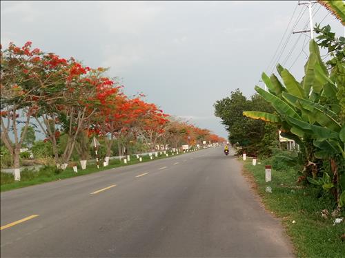 Tiểu Phong