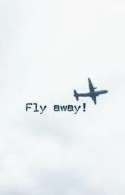 Fly away