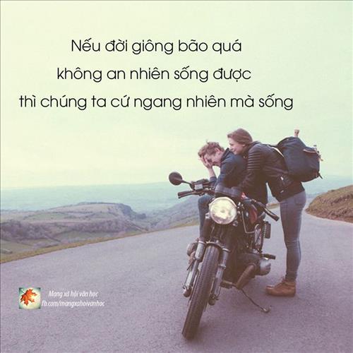 hẹn hò - Yolo-Les -Tuổi:29 - Độc thân-TP Hồ Chí Minh-Người yêu lâu dài