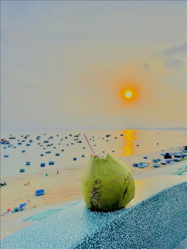 hẹn hò - Sam Nguyen-Les -Tuổi:31 - Độc thân-Bình Thuận-Người yêu lâu dài
