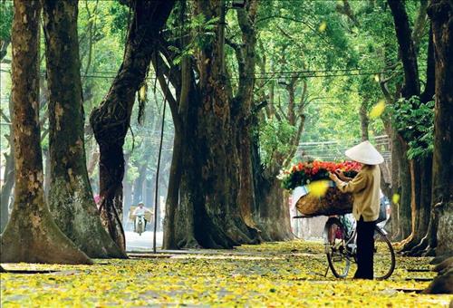 hẹn hò - Hoa May-Les -Tuổi:36 - Độc thân-Hà Nội-Người yêu lâu dài