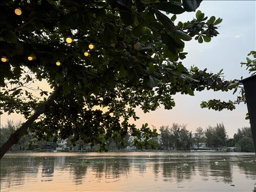 hẹn hò - Smile -Lesbian -Age:36 - Single-TP Hồ Chí Minh-Lover - Best dating website, dating with vietnamese person, finding girlfriend, boyfriend.