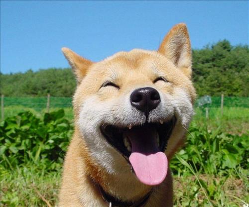 Hy