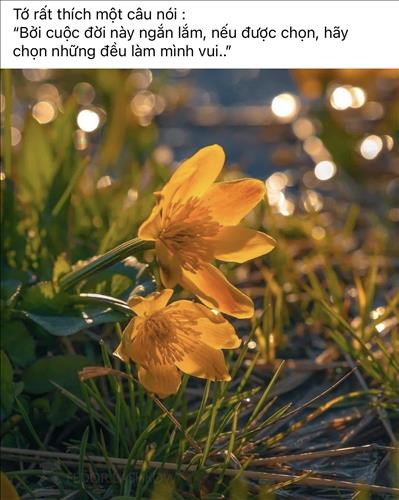 hẹn hò - live to love 🍀-Les -Tuổi:36 - Độc thân-TP Hồ Chí Minh-Tìm bạn tâm sự