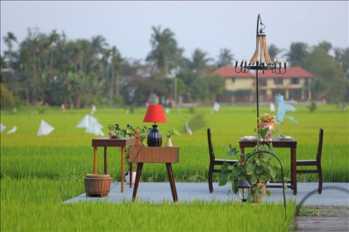 Hoang Anh