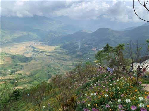 Tìm bạn bè mới