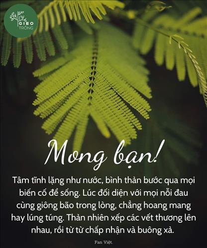 hẹn hò - Anni Trần-Les -Tuổi:34 - Độc thân-Đà Nẵng-Người yêu lâu dài