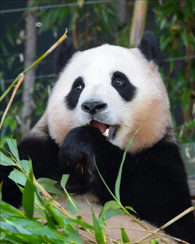 hẹn hò - Na-Les -Tuổi:40 - Độc thân-TP Hồ Chí Minh-Tìm bạn tâm sự