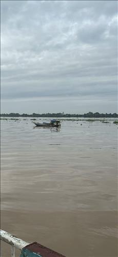 Mộc