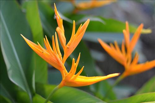 hẹn hò - Mộc-Lesbian -Age:35 - Single-TP Hồ Chí Minh-Confidential Friend - Best dating website, dating with vietnamese person, finding girlfriend, boyfriend.