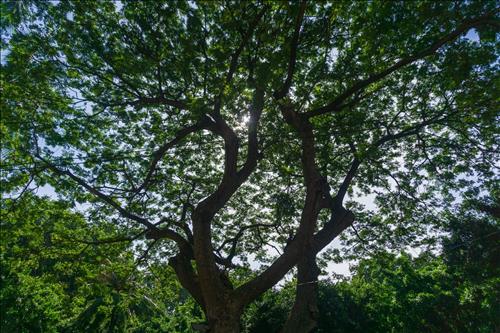 hẹn hò - Titi-Les -Tuổi:31 - Độc thân-Vĩnh Long-Người yêu lâu dài