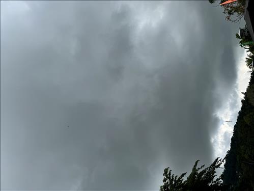 hẹn hò - Shen-Les -Tuổi:33 - Độc thân-Cần Thơ-Tìm bạn tâm sự