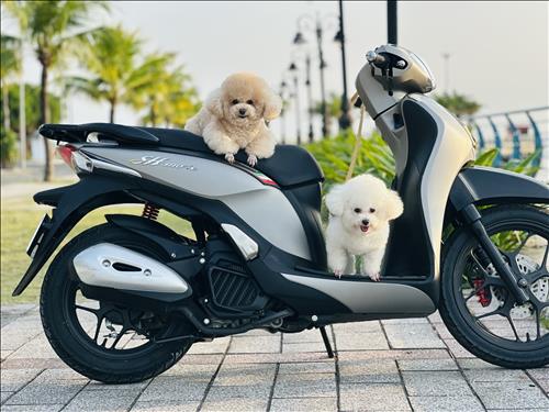 hẹn hò - NBL-Les -Tuổi:36 - Độc thân-Kiên Giang-Tìm bạn bè mới