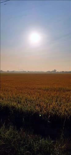 hẹn hò - Hạnh phúc xa vời-Les -Tuổi:38 - Độc thân-TP Hồ Chí Minh-Người yêu lâu dài