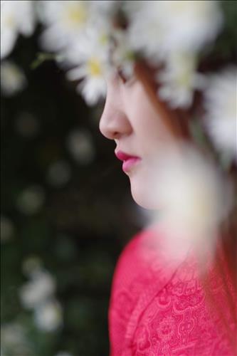 Mặt Trời Nửa Đêm