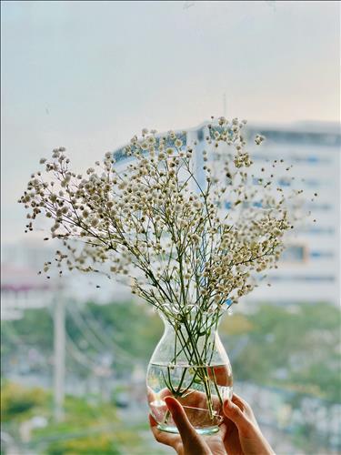 hẹn hò - Sunny-Les -Tuổi:36 - Độc thân-TP Hồ Chí Minh-Tìm bạn bè mới