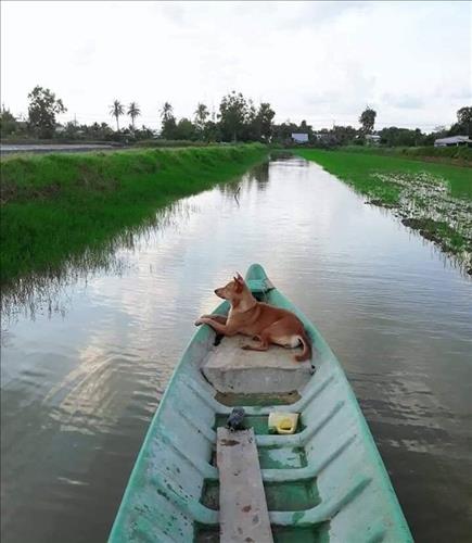 hẹn hò - Tấn Ngưng-Les -Tuổi:35 - Đã có gia đình-TP Hồ Chí Minh-Tìm bạn bè mới