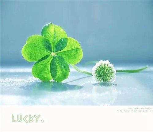 hẹn hò - Người lạ!-Les -Tuổi:32 - Độc thân-TP Hồ Chí Minh-Tìm bạn bè mới