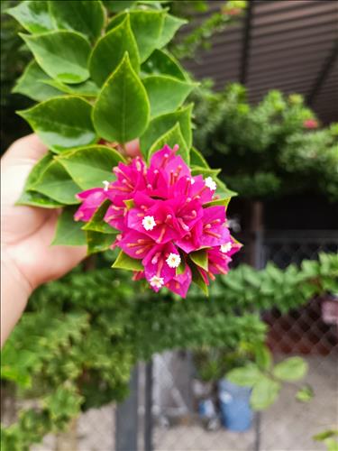 hẹn hò - Unknown-Les -Tuổi:37 - Độc thân-TP Hồ Chí Minh-Tìm bạn tâm sự