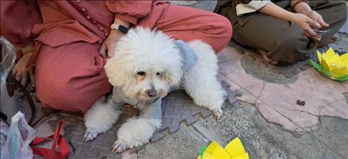 hẹn hò - Eva-Les -Tuổi:32 - Độc thân-TP Hồ Chí Minh-Người yêu lâu dài