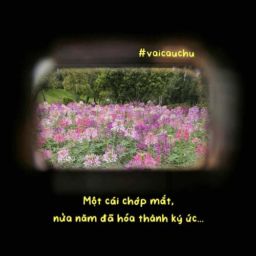 tử kỳ