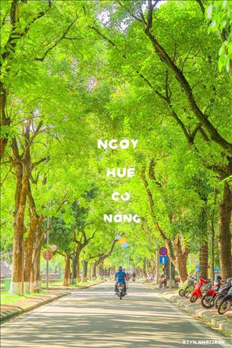 hẹn hò - Vikario-Les -Tuổi:35 - Độc thân-Thừa Thiên-Huế-Tìm bạn bè mới