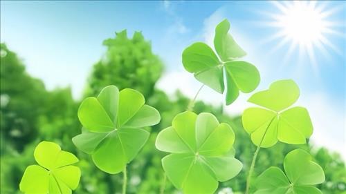 hẹn hò - Bầu trời-Lesbian -Age:28 - Single-Cần Thơ-Friend - Best dating website, dating with vietnamese person, finding girlfriend, boyfriend.