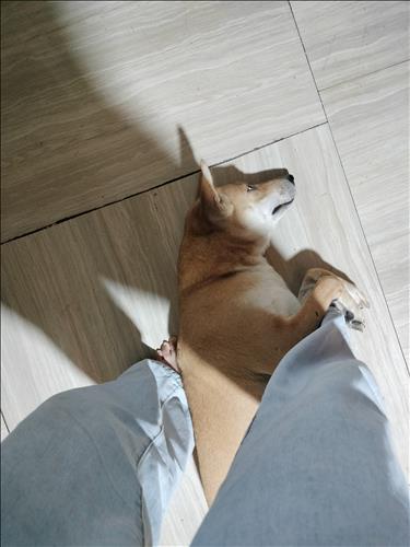 hẹn hò - 🌈 🐈Cat-Lesbian -Age:26 - Single-TP Hồ Chí Minh-Lover - Best dating website, dating with vietnamese person, finding girlfriend, boyfriend.