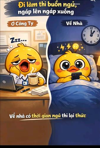 hẹn hò - 🌈Meow-Lesbian -Age:26 - Single-TP Hồ Chí Minh-Lover - Best dating website, dating with vietnamese person, finding girlfriend, boyfriend.