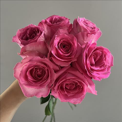 hẹn hò - Jasmine-Lesbian -Age:29 - Single-TP Hồ Chí Minh-Lover - Best dating website, dating with vietnamese person, finding girlfriend, boyfriend.