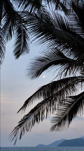 hẹn hò - Anh Nguyễn-Les -Tuổi:34 - Độc thân-Khánh Hòa-Tìm bạn bè mới