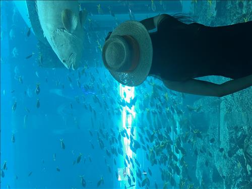 hẹn hò - hana-Lesbian -Age:30 - Has Lover-TP Hồ Chí Minh-Friend - Best dating website, dating with vietnamese person, finding girlfriend, boyfriend.