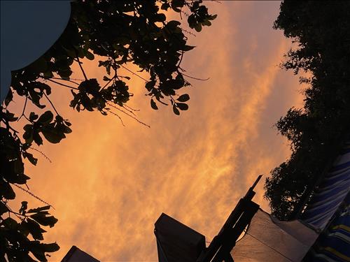 hẹn hò - Ngọc Như-Lesbian -Age:30 - Single-TP Hồ Chí Minh-Friend - Best dating website, dating with vietnamese person, finding girlfriend, boyfriend.