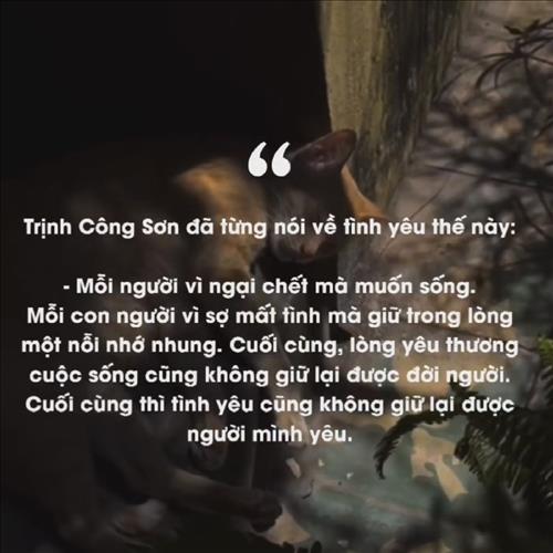 hẹn hò - Nguyễn -Les -Tuổi:33 - Độc thân-TP Hồ Chí Minh-Người yêu lâu dài