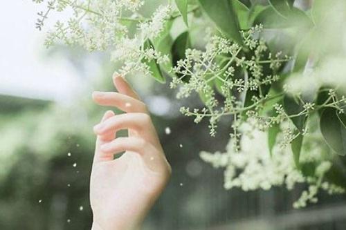 hẹn hò - Mưa Tháng Tư-Lesbian -Age:35 - Single-TP Hồ Chí Minh-Friend - Best dating website, dating with vietnamese person, finding girlfriend, boyfriend.