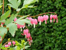 hẹn hò - Yanging-Lesbian -Age:36 - Single-Long An-Confidential Friend - Best dating website, dating with vietnamese person, finding girlfriend, boyfriend.