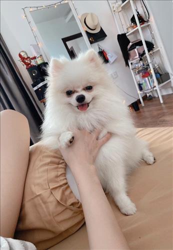 hẹn hò - Bii-Lesbian -Age:25 - Single-TP Hồ Chí Minh-Confidential Friend - Best dating website, dating with vietnamese person, finding girlfriend, boyfriend.