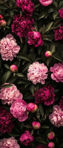 hẹn hò - K.h-Les -Tuổi:32 - Độc thân-Hà Nội-Tìm bạn bè mới