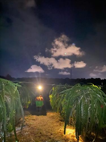 hẹn hò - Duyên Đặng-Lesbian -Age:30 - Single-Bình Thuận-Confidential Friend - Best dating website, dating with vietnamese person, finding girlfriend, boyfriend.