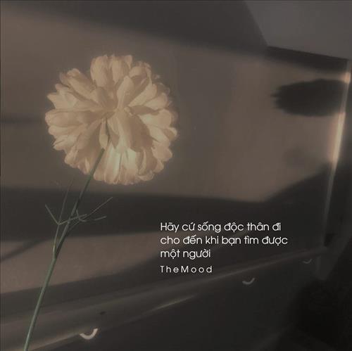 hẹn hò - NO NAME-Lady -Age:40 - Single-TP Hồ Chí Minh-Friend - Best dating website, dating with vietnamese person, finding girlfriend, boyfriend.