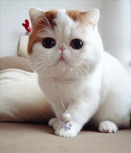 hẹn hò - PTT-Lady -Age:27 - Single-TP Hồ Chí Minh-Friend - Best dating website, dating with vietnamese person, finding girlfriend, boyfriend.