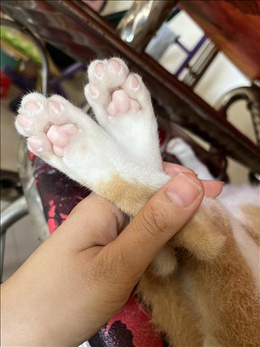 hẹn hò - YounMe-Les -Tuổi:30 - Độc thân-TP Hồ Chí Minh-Người yêu lâu dài